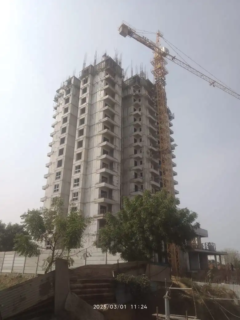 Ashiyara-mar-2025-12