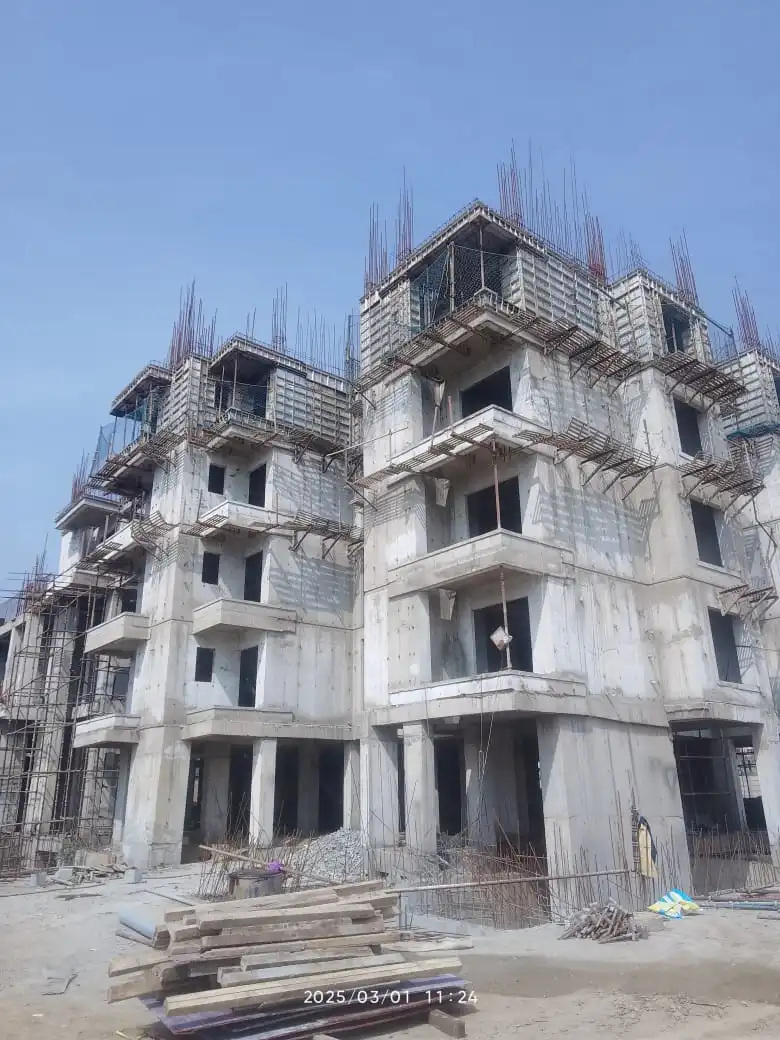Ashiyara-mar-2025-2