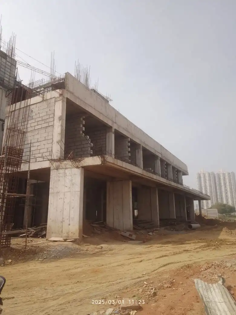 Ashiyara-mar-2025-3