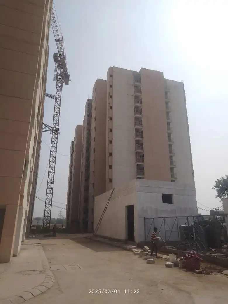 Ashiyara-mar-2025-4