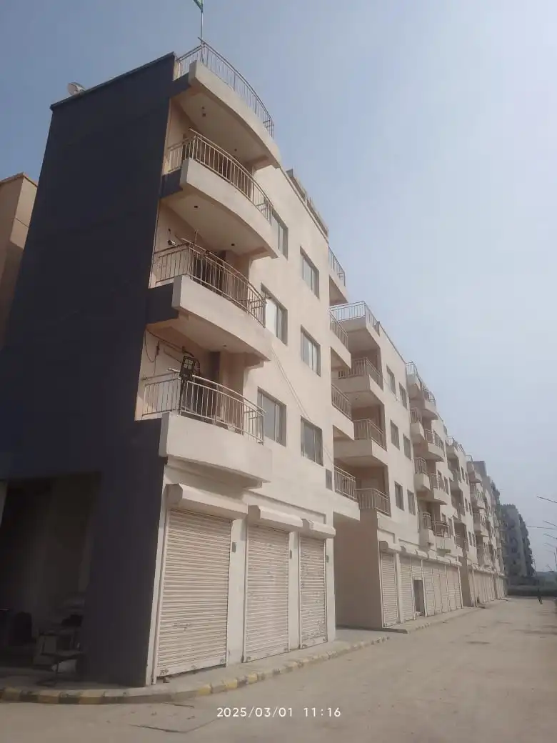 Ashiyara-mar-2025-5