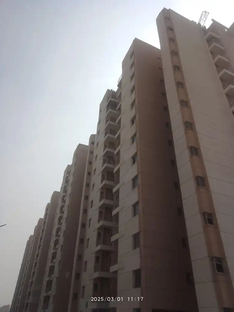 Ashiyara-mar-2025-6